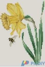 Thea Gouverneur The Secret Garden  014 Daffodil