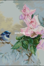 Luca-S B2313 - Bird
