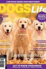 Dogs Life - May－June 2018