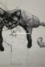 RTO-M00666-Among Black Cats - Finished !