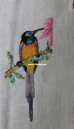 Hummingbird..