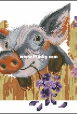 RTO M320 - Naughty Pig