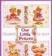 Dimensions - Baby Hugs 73425 Baby Princess Birth Record XSD