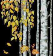 RTO M273 Birch leaves falling