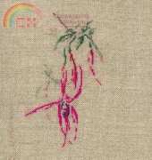 Marie-Thérèse Saint-Aubin MTSA Fuchsia