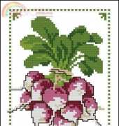 Vervaco 70.885 Radish