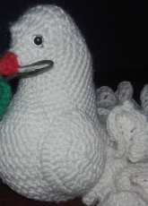 Dove the loving pigeons
