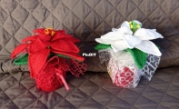 Stella di Natale - Poinsettia