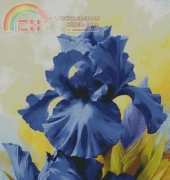 I Love CrossStitch IL-010 Purple Iris