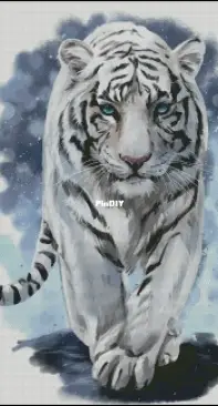 Tiger by Tatiana Kholodenko/ Alladin xsd
