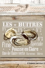 Isabelle Harcourt Vautier - IHV ISA 25 - Les Huitres / Oysters XSD