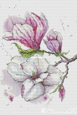 Julia Do  -  Watercolor magnolia