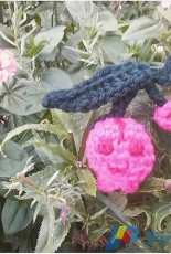 Sam's Crochet - Tiny Cherubi Pokemon - Free
