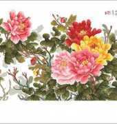 KCO 612139 Peonies