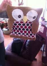 Owl PJ bag