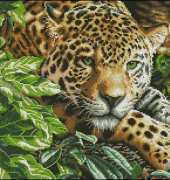 Dimensions 70-35300 - Leopard in Repose XSD