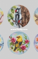 Birds -  Bullfinch / Oriole /  Kingfisher / Swallow /  Bluetit and Apple Blossom / Woodpecker by Elena Lartsova