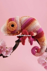 Irene Strange - Colour Pop Chameleon