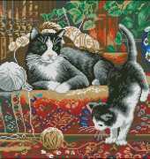 PC Studio 467 - Cats on the carpet