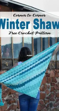 Winding Road Crochet - Lindsey Dale - C2C Winter Shawl - Free