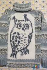 Warm sweater with owl