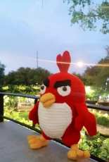 Angry bird - Red