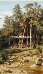 EstE 150 Pine Forest XSD