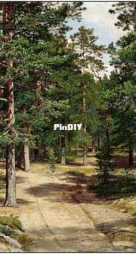 EstE 304 Sestroretsky Forest XSD