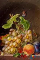 EstE 014 Still Life with Fruit and A Butterfly