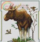 Moose