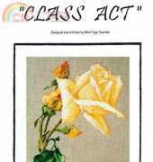The Silver Lining SL 05 - Class Act