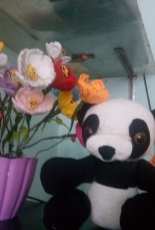 Panda-Flowers