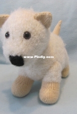 White fluffy Dog