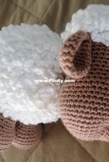 Sheep Hava Design
