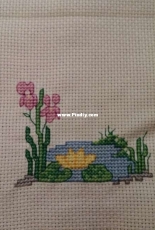 Lotus on the lake