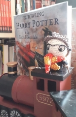 My mini Harry Potter