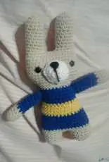 Bunny soccer fan