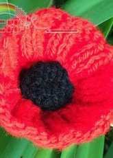 Poppies For ANZAC by Lilian Worner -Free