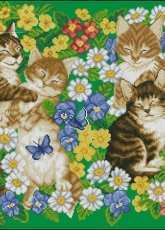 Cats From Nastunya 57