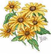 Paula Vaughan/PV80 - Black Eyed Susans xsd and pat