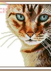 Lanarte 35174 PN0021220 Cat close up XSD