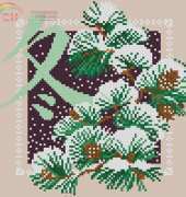 Riolis 814 Pine