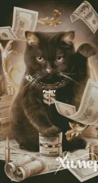 Chimera - Money Cat