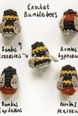 Sons Popkes - Sonja van der Wijk - Bumblebees - Free