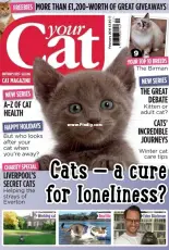 Your Cat  February 2018