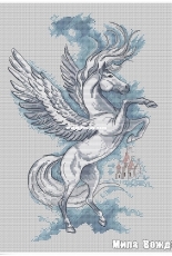 Pegasus by Mila Vozhd