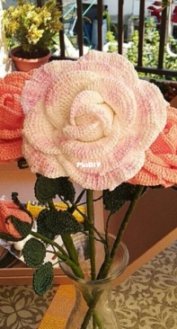 Roses