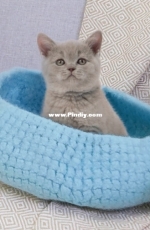 Lincraft - P044 Felted Cat Bed - Free