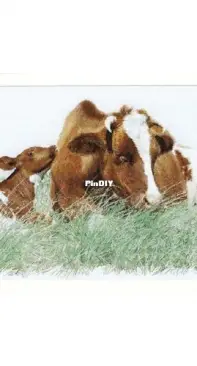 Thea Gouverneur 449 Brown cow and calf