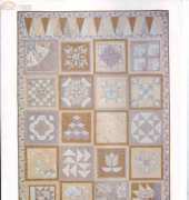 David & Charles-The Sampler Quilts Book by Lynne Edwards